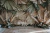 Fundo Fotográfico -Dia das mães - CT 2549- - comprar online