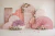 Fundo Fotográfico - Dia das Mães - CT2562 - comprar online