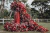 Fundo Fotográfico - Dia das Mães - CT2567 - comprar online