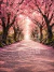 Fundo Fotográfico - Jardim - CT5362 - comprar online