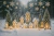 Fundo Fotográfico - Natal - CT6453 - comprar online