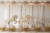 Fundo Fotográfico - Carrossel - CT7308 - comprar online