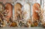 Fundo Fotográfico - arco floral - CT9053