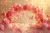 Fundo Fotográfico - Borboletas - CT9909
