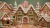 Fundo Fotográfico - Aline Martins - Natal Gingerbread - AM367