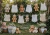 Fundo Fotográfico - Aline Martins - Jardim Varal - AM505