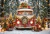 Fundo Fotográfico - Natal Externo - CT2728
