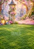 Fundo Fotográfico - Rapunzel - CT5362