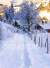 Fundo Fotográfico - Inverno - CT11