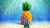 Fundo Fotográfico - Bob Esponja - ct802