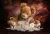 Fundo Fotográfico - Urso