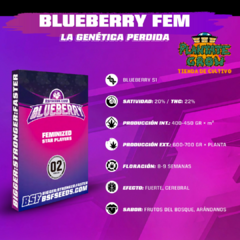 BSF AUTOMATICAS X12 - tienda online
