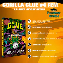 BSF FOTOPERIODICAS X4 en internet