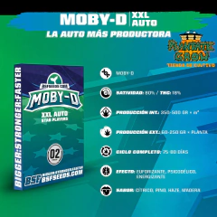 BSF AUTOMATICAS X12 - tienda online