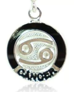 Berloque Charm Signo Zodiaco Prata Legitima 925 - comprar online