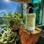 HOME SPRAY LIMA-DA-PÉRSIA - Casual Home
