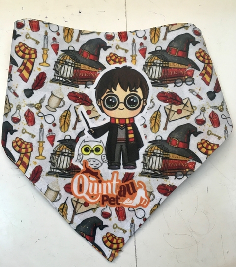 Bandanas Harry Potter 10 unidades