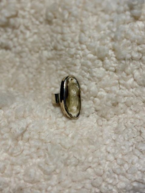 Imagen de Anillo de asta y alpaca