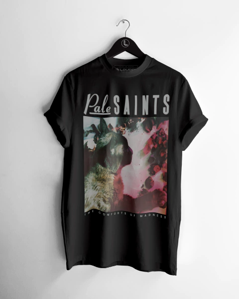 Pale Saints - The Comforts of Madness