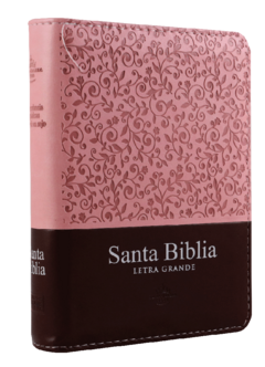 Biblia Reina Valera 1960 Tamaño Bolsillo Letra Mediana 10 puntos Imitación Piel Rosa Marrón (RVR26cLSGiPJRZTI) - comprar en línea