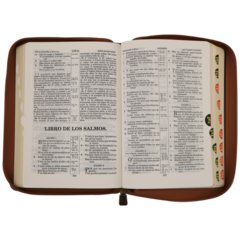 Biblia Reina Valera 1909 Mediana Café VR055ZTI en internet