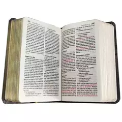 Biblia Reina Valera 1960 León dorado Mini Bolsillo Letra Chica Tapa Semiflexible Tapa 4 [RVR.11ePJR-GPR:4] en internet