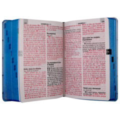 Biblia Reina Valera 1960 Mediana Letra Gigante Tapa Semiflexible Azul Claro Ancla [RVR.61ecLGiPJR] en internet