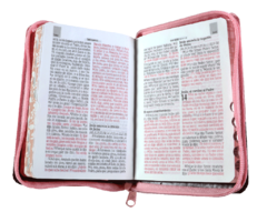 Biblia Reina Valera 1960 Tamaño Bolsillo Letra Mediana 10 puntos Imitación Piel Rosa Marrón (RVR26cLSGiPJRZTI) en internet