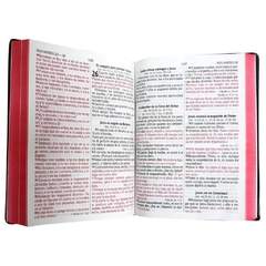 BIBLIA CON CONCORDANCIA AMPLIA LETRA GIGANTE PASTA DE VINIL NEGRO RVR082CLGIPJR en internet