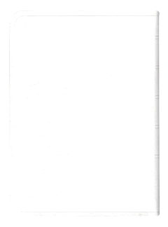 BIBLIA CHICA IMITACION PIEL BLANCO RVR045c - tienda en línea