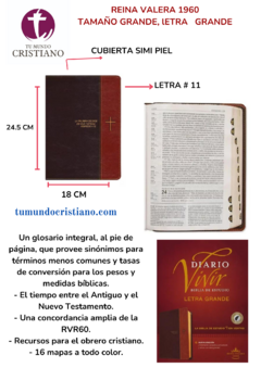 Biblia de Estudio del Diario Vivir Reina Valera 1960 Letra Grande