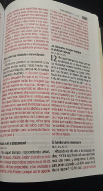 Santa Biblia Tapa Dura Ilustrada Letra Grande [RVR063CLGPJR] en internet