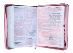 Biblia Reina Valera 1960 bolsillo Letra Grande Imitación Piel Rosa Rosa [RVR046cLSGIPJRZTIPU] - Tu Biblia