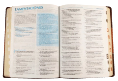 Biblia de Estudio Predicación Reina Valera 1960 Grande Letra Grande Imitación Piel Marrón [RVR086LGEETI en internet