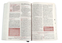 BIBLIA SER MUJER RVR086cLGEETI-BEM en internet