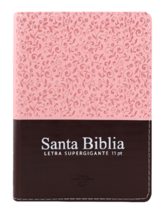 Biblia Reina Valera 1960 bolsillo Letra Grande 11 puntos Imitación Piel Rosa Marrón [RVR046cLSGiPJRTI] - comprar en línea