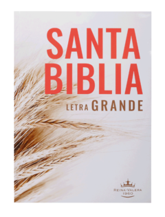 BIBLIA RUSTICA LETRA GRANDE RVR080LG - comprar en línea