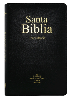 Imagen de BIBLIA CON CONCORDANCIA BREVE NEGRO RVR065ecZTI