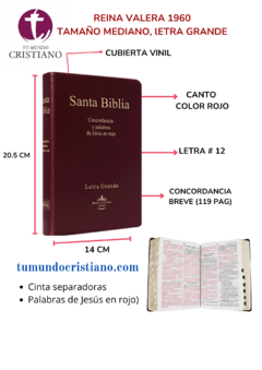 BIBLIA MEDIANA LETRA GRANDE DE VINIL VINO RVR062CLGPJR