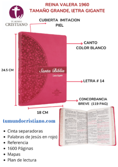 Biblia Reina Valera 1960 Grande Letra Gigante Imitación Piel Rosa [RVR086cLGiPJR]