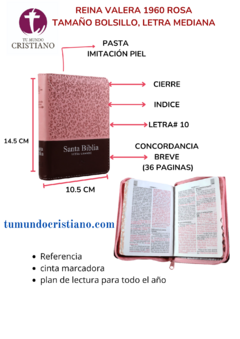 Biblia Reina Valera 1960 Tamaño Bolsillo Letra Mediana 10 puntos Imitación Piel Rosa Marrón (RVR26cLSGiPJRZTI)