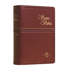 Biblia Reina Valera 1960 Tamaño Bolsillo Letra Chica Vinil Vino [RVR022c] - comprar en línea