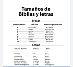 Biblia Reina Valera 1960 Tamaño Bolsillo Letra Chica Vinil Vino [RVR022c] - tienda en línea