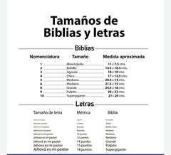 BIBLIA RUSTICA LETRA GRANDE RVR080LG - tienda en línea