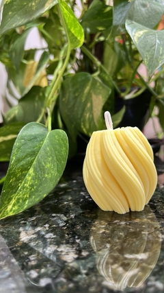 Vela Aromática 65g - Spiral