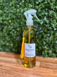 Spray 250ml - Com Válvula Gatilho - comprar online