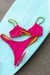 CALCINHA TERRAL HIBISCO na internet