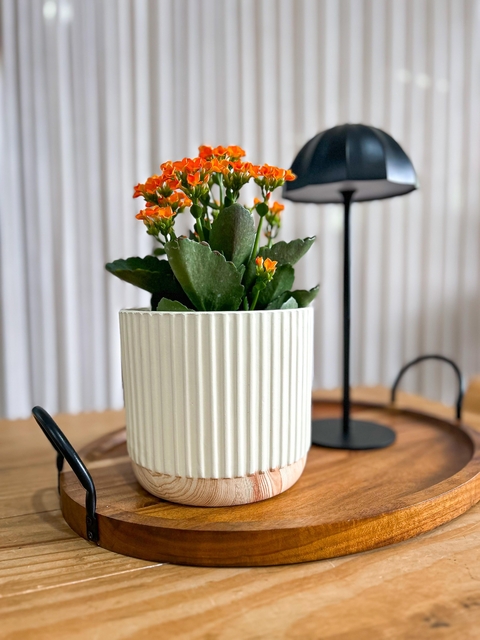 Cachepô Camélia G - comprar online