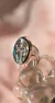 Anillo Haliotis