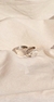 Anillo de sello Óvalo
